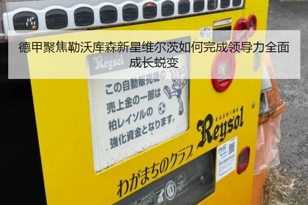 img_1782583429682_396_1_904.jpg
