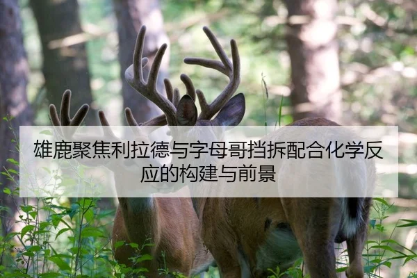 雄鹿聚焦利拉德与字母哥挡拆配合化学反应的构建与前景